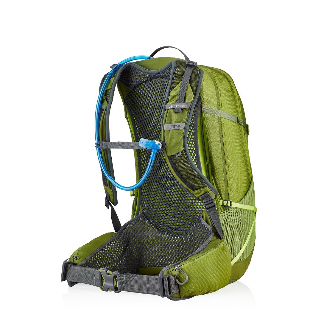 Gregory Citro 30 H2O Hiking Backpack Men Green Ireland 3974OJEVS